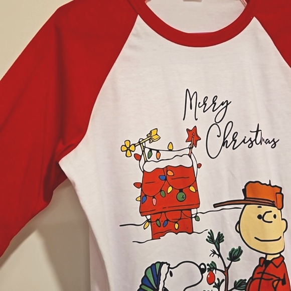 Classic Peanuts Merry Christmas Charlie Brown Snoopy tree doghouse Small EUC - Picture 4 of 5